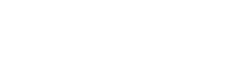 Logo bluetools white